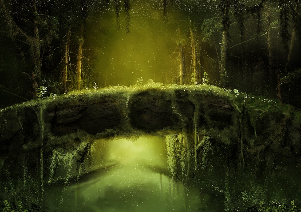 forest  mysterious  fantasy free photo