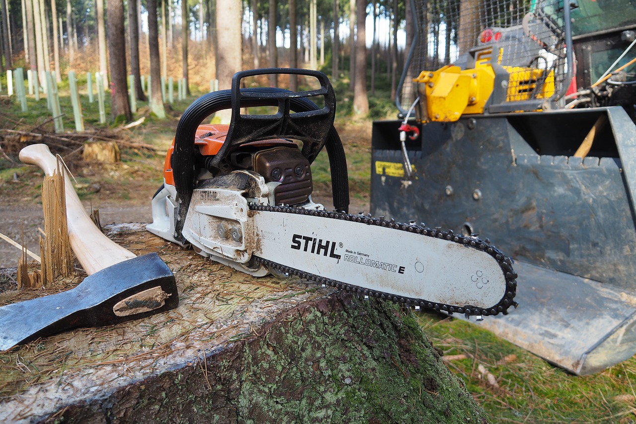 forest  chainsaw  forest work free photo