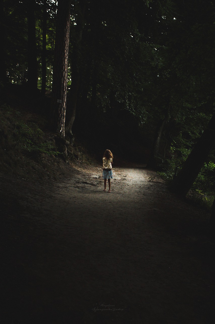 forest  child  alone free photo