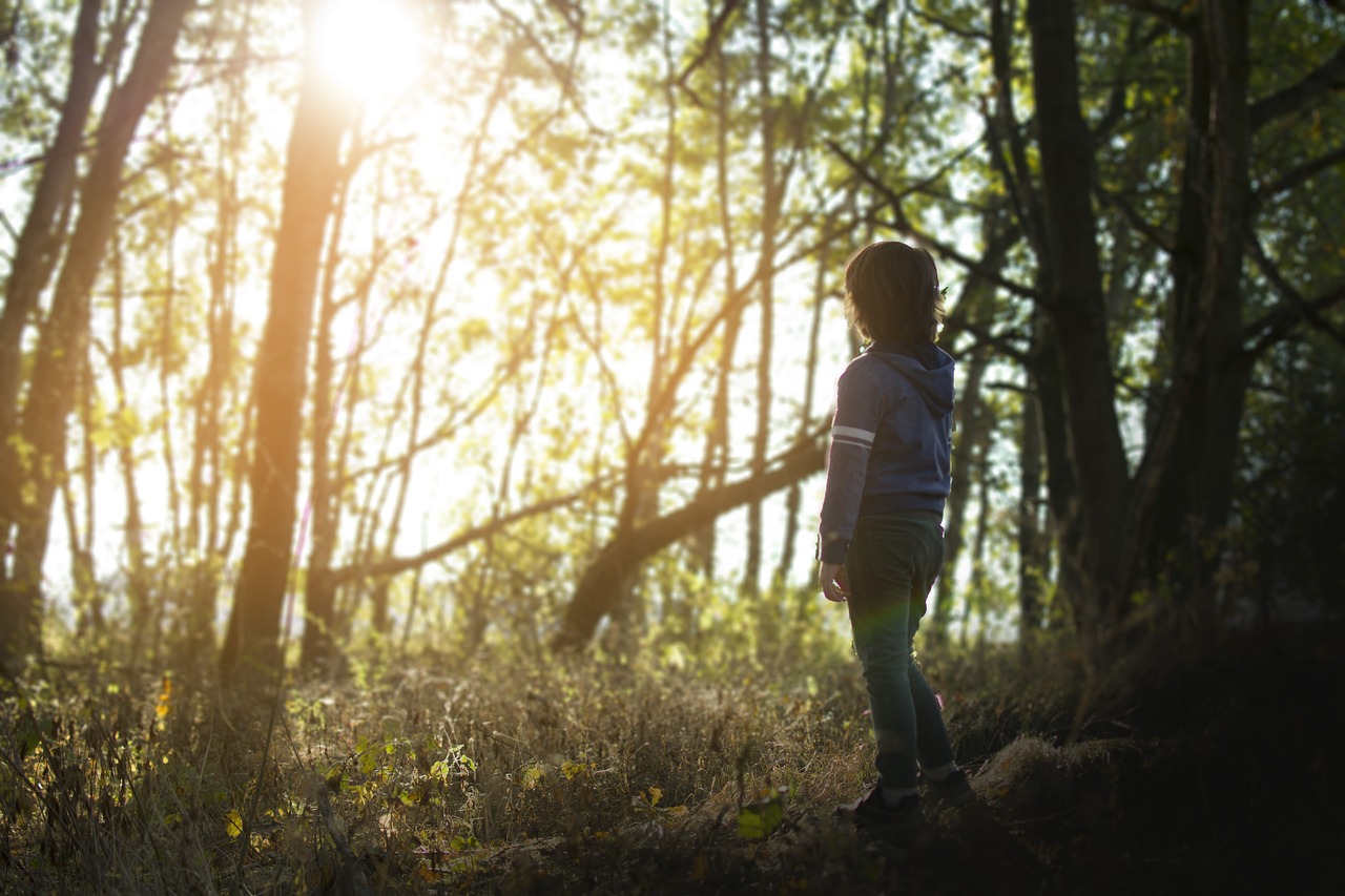 forest  sister  children free photo