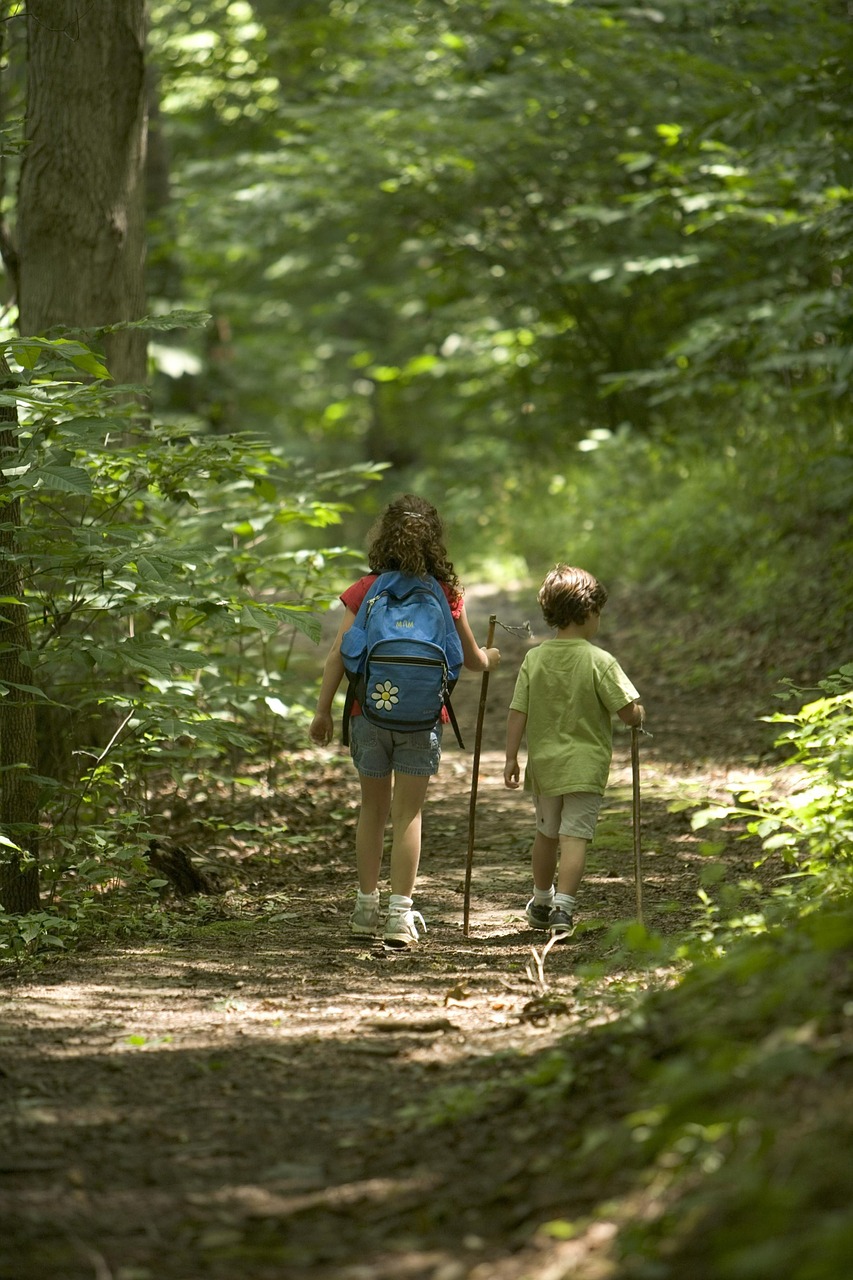 forest hiking kids free photo