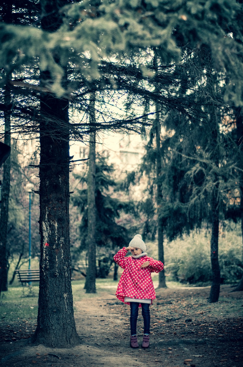 forest  girl  trees free photo