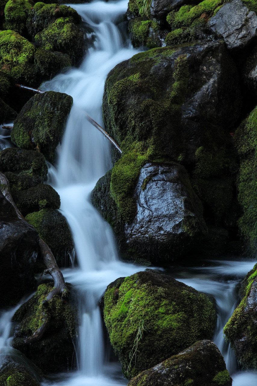 forest  cascade  waterfall free photo