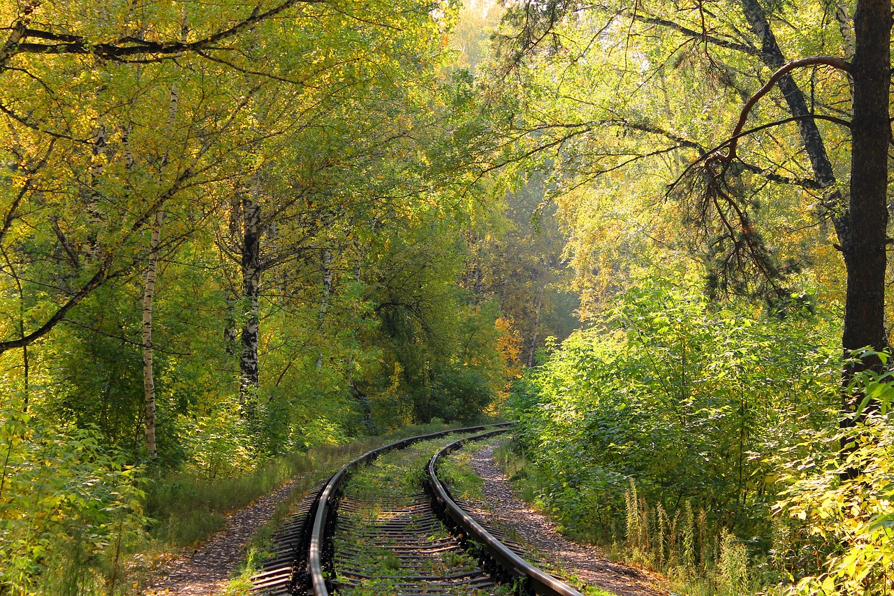 forest  railway  twist free photo