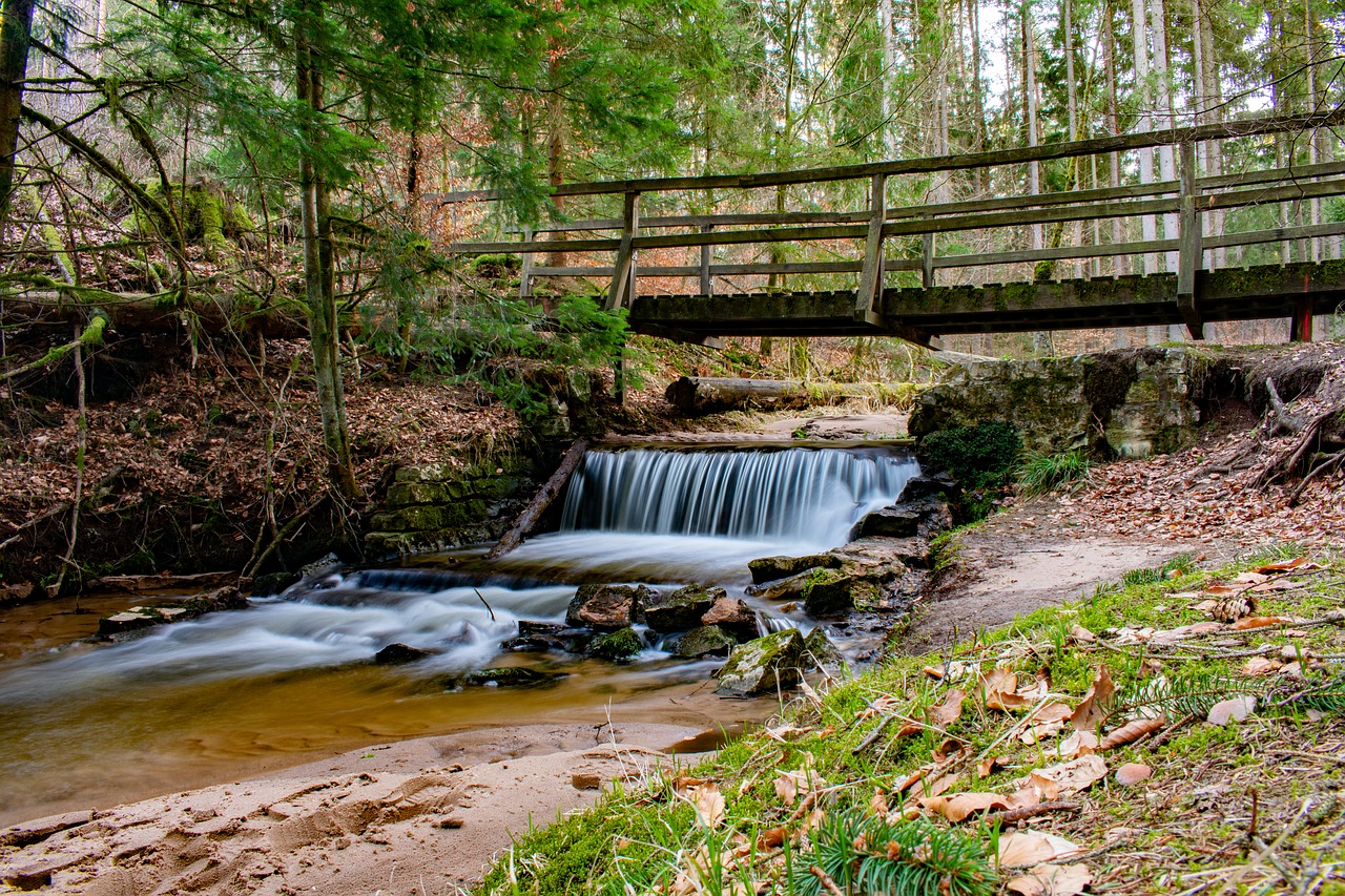 forest  waterfall  landscape free photo