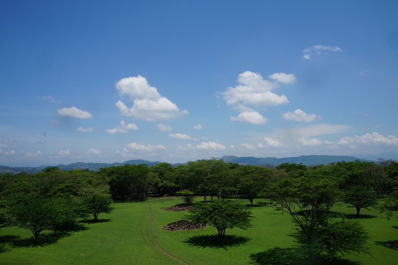 forest landscape clouds free photo