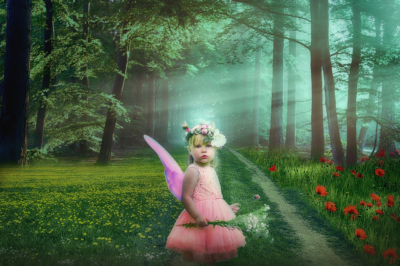 forest  light  fantasy free photo