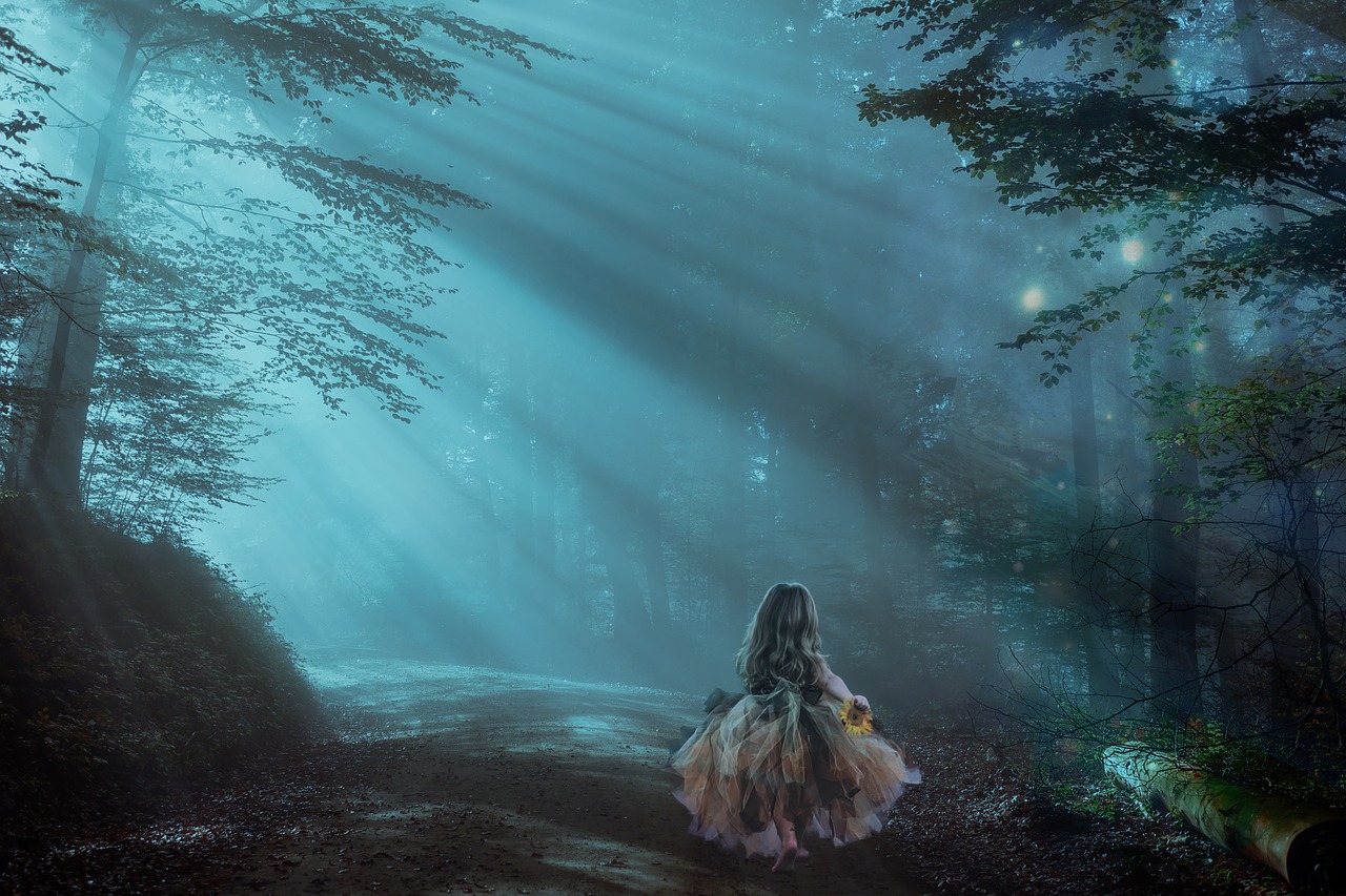 forest  night  fantasy free photo