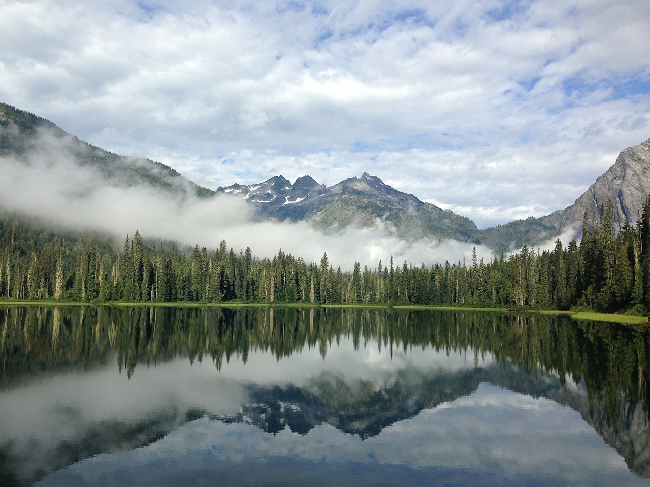 forest canada lake free photo