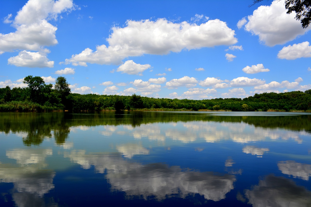 forest lake cloud free photo