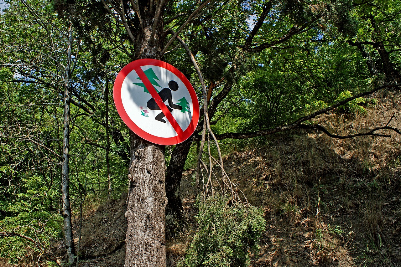 forest sign ukraine free photo
