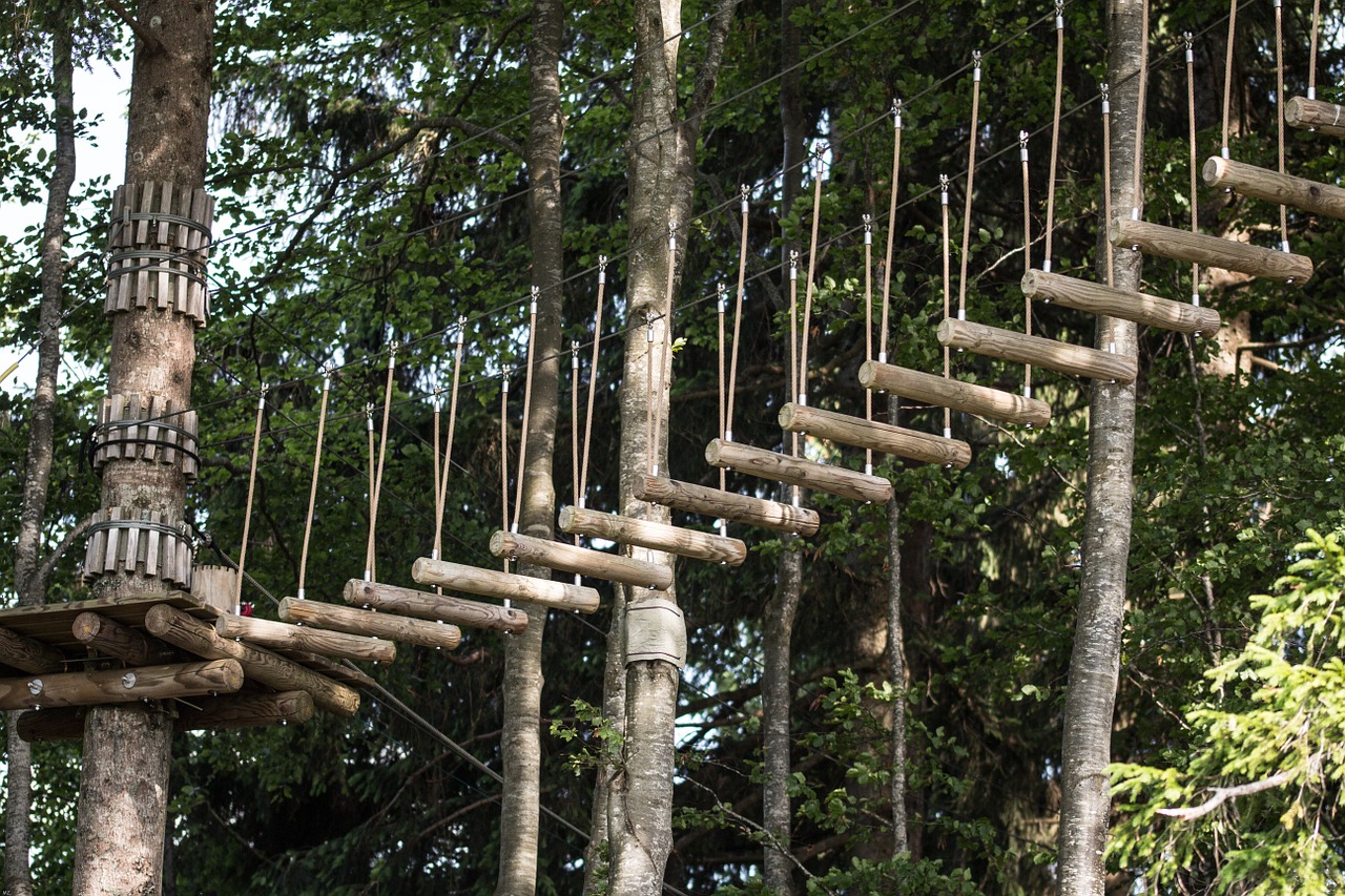 forest allgäu climbing garden free photo