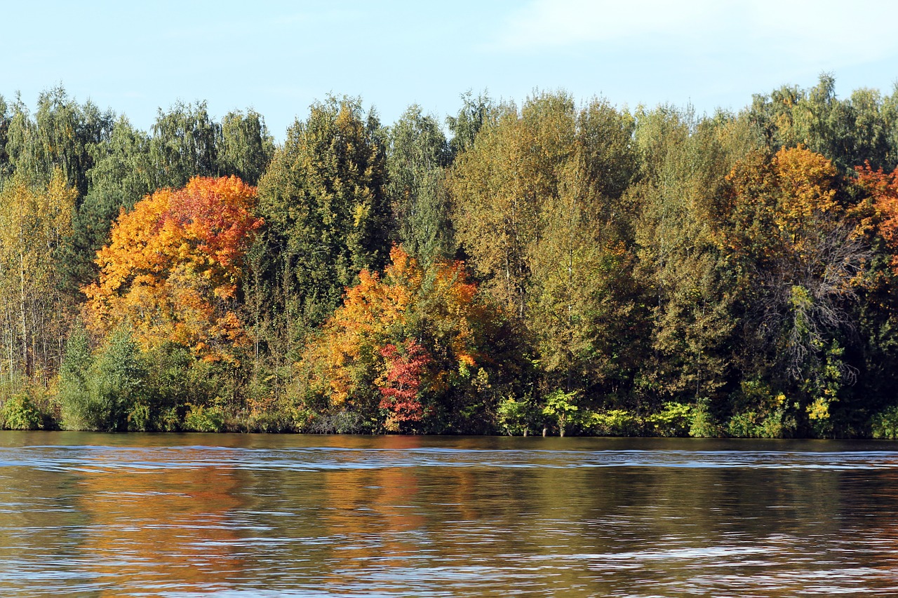 forest river autumn free photo