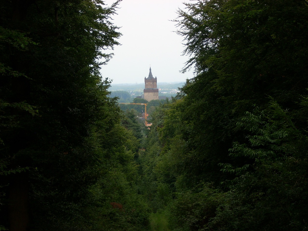 forest castle tower free photo