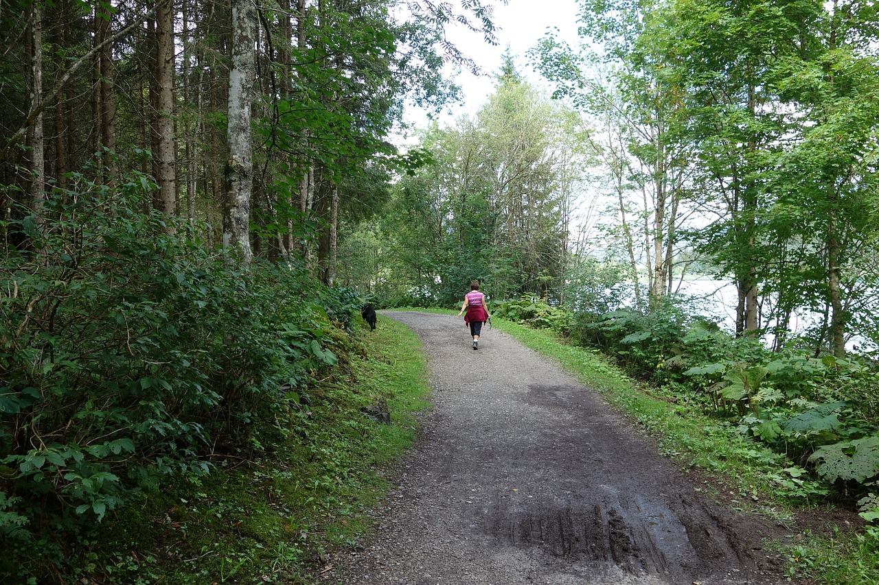 away forest woman free photo