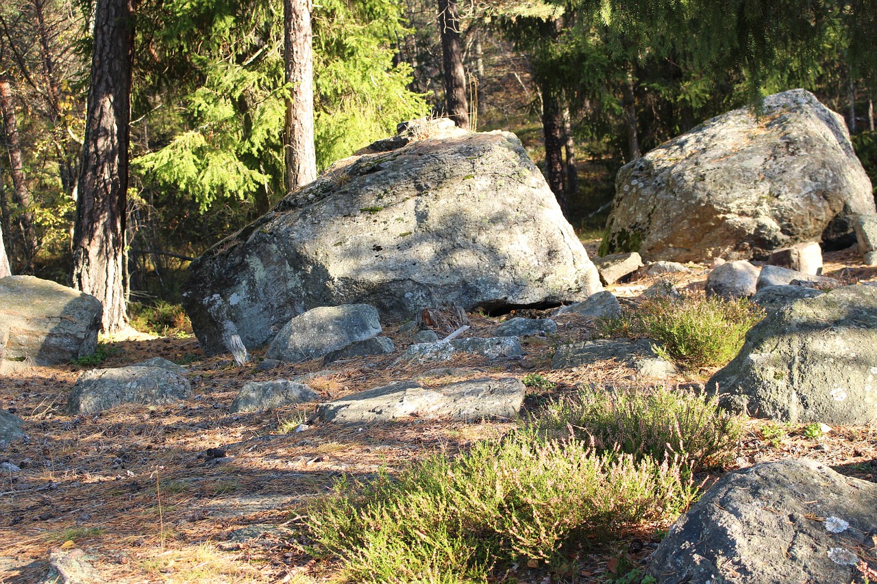 forest stones autumn free photo