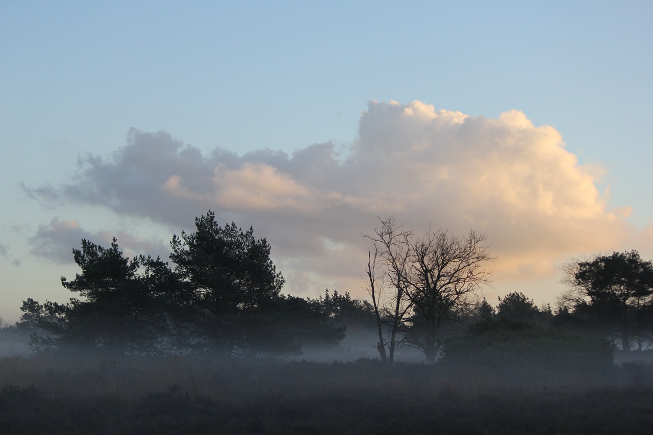 forest clouds veluwe free photo