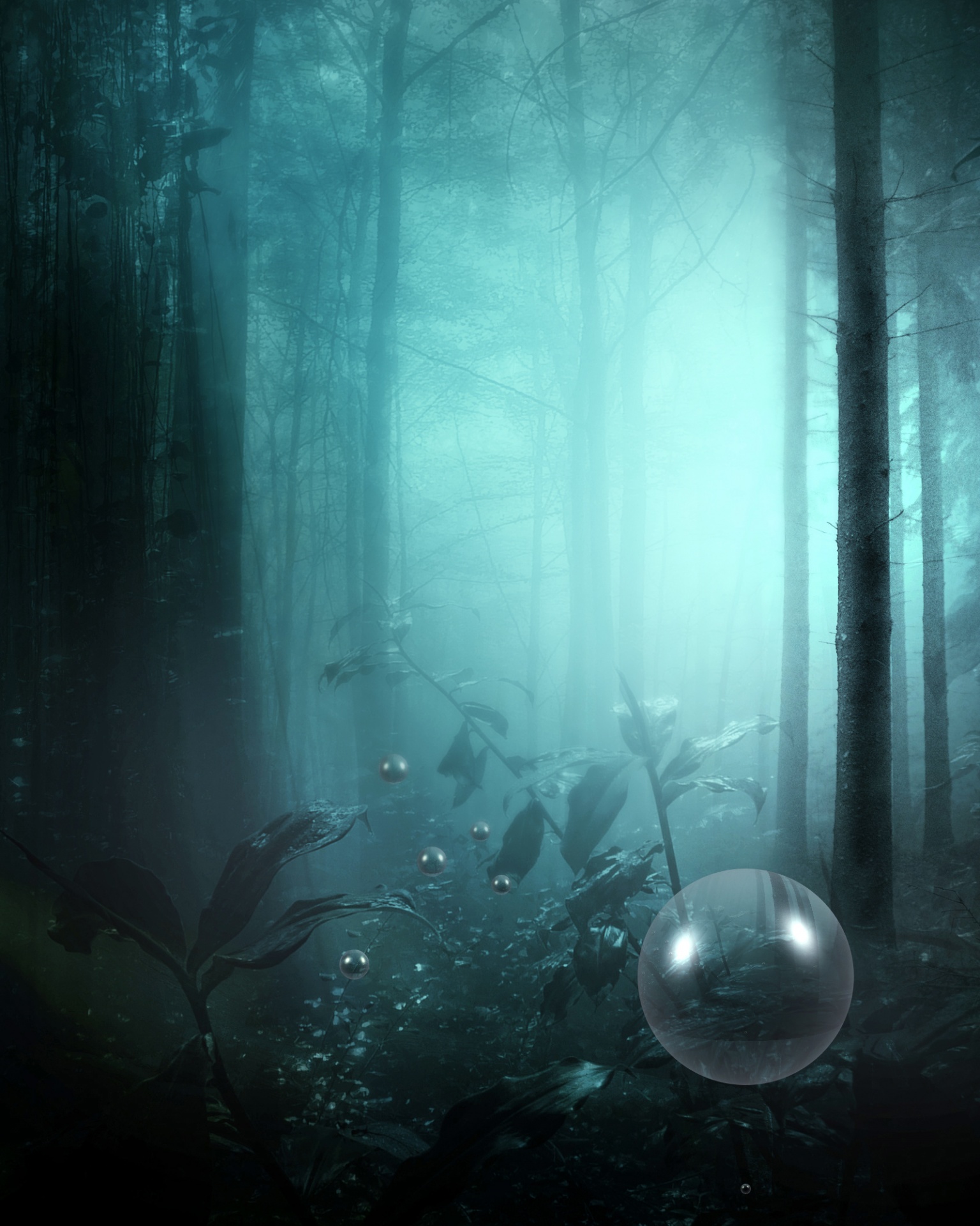 forest fantasy dark free photo