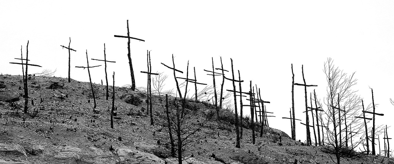 forest fire burnt mountain degradation free photo