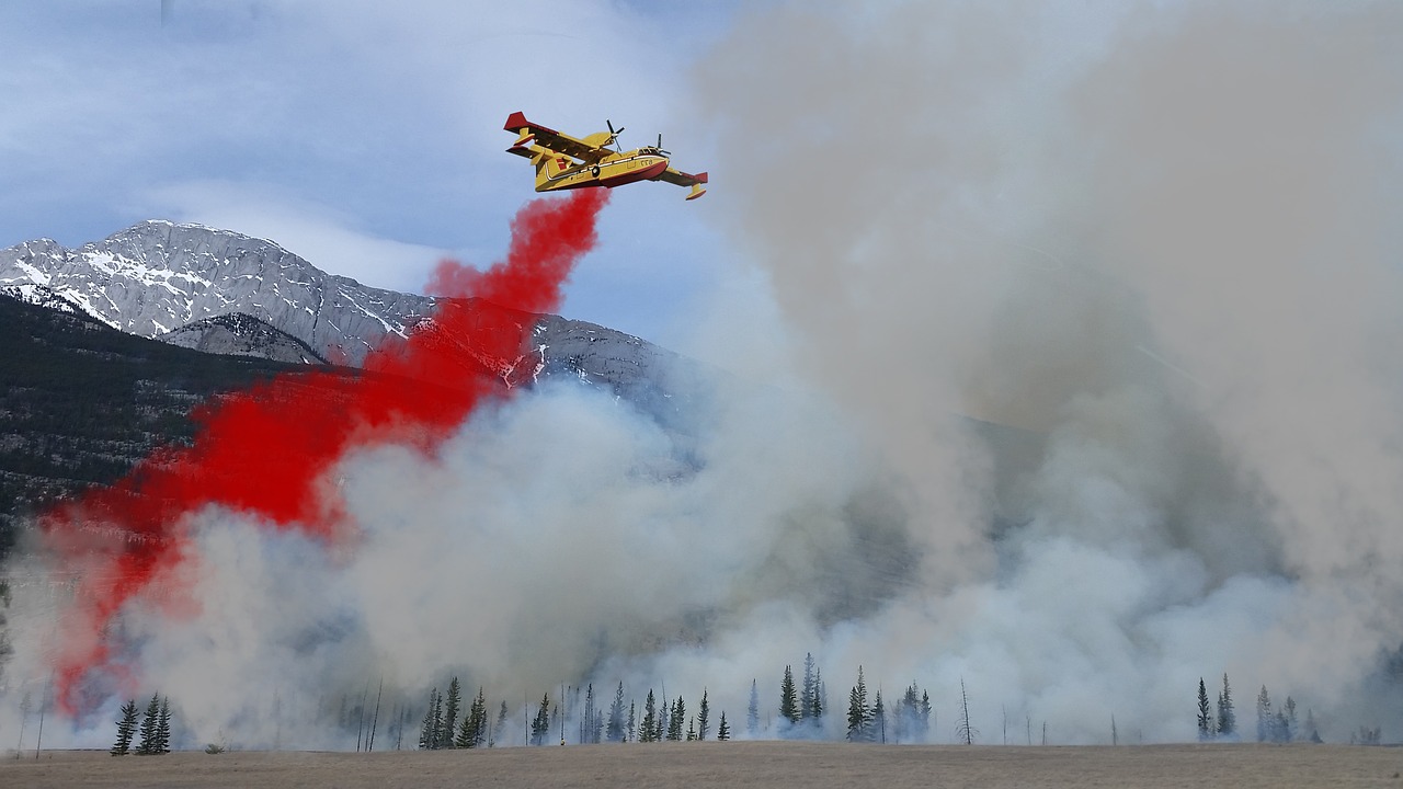 forest fire fire fighting aircraft fire free photo