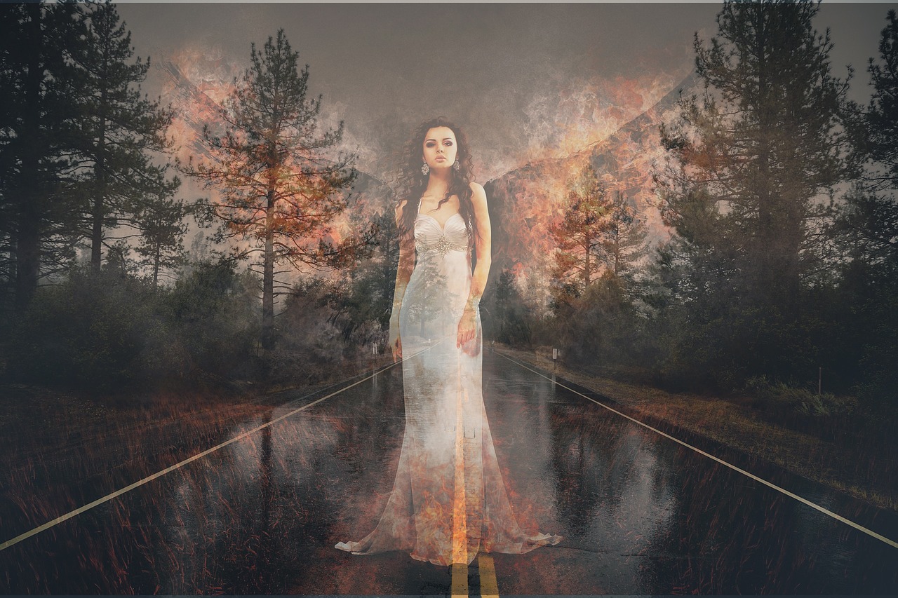 forest fire angel road free photo