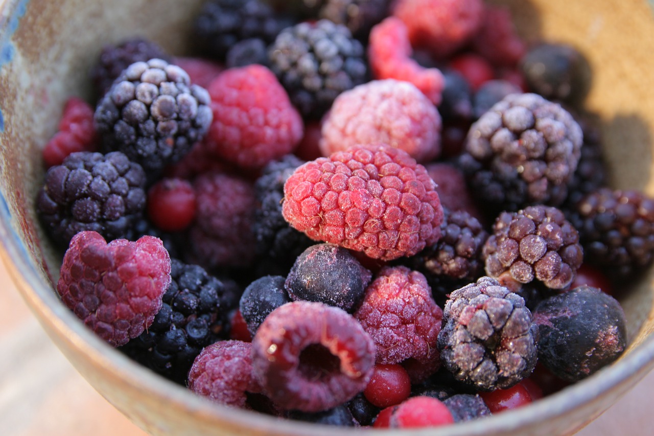 forest fruit frozen nearby free photo