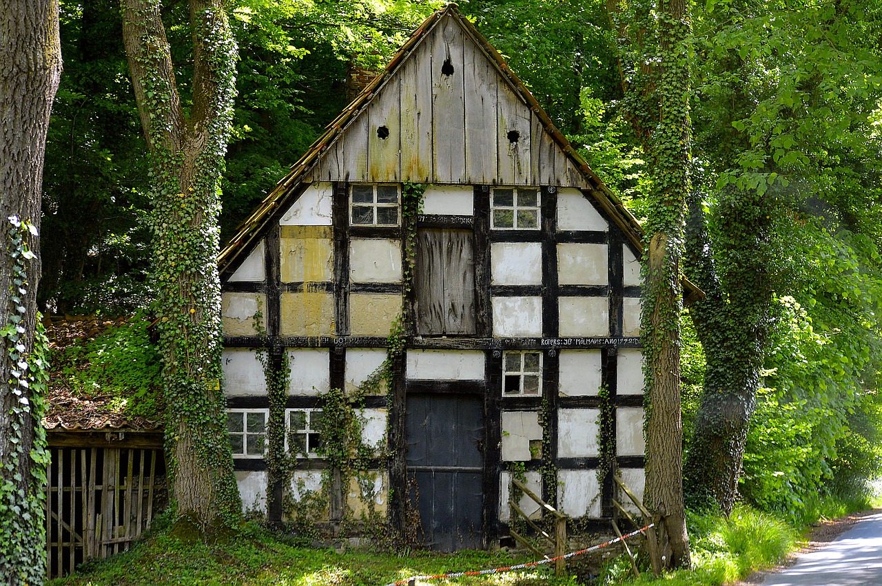 Лесной дом текст. Лесные дома. Заброшенный дом в лесу. Лесной дом. Лесной дом в Уэльсе.
