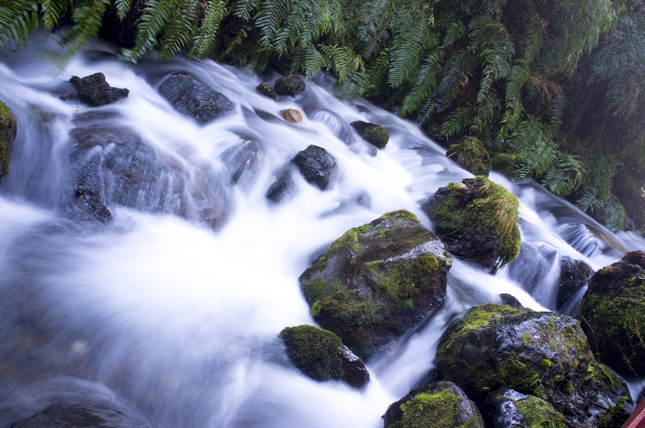 forest landscape waterfalls nature free photo