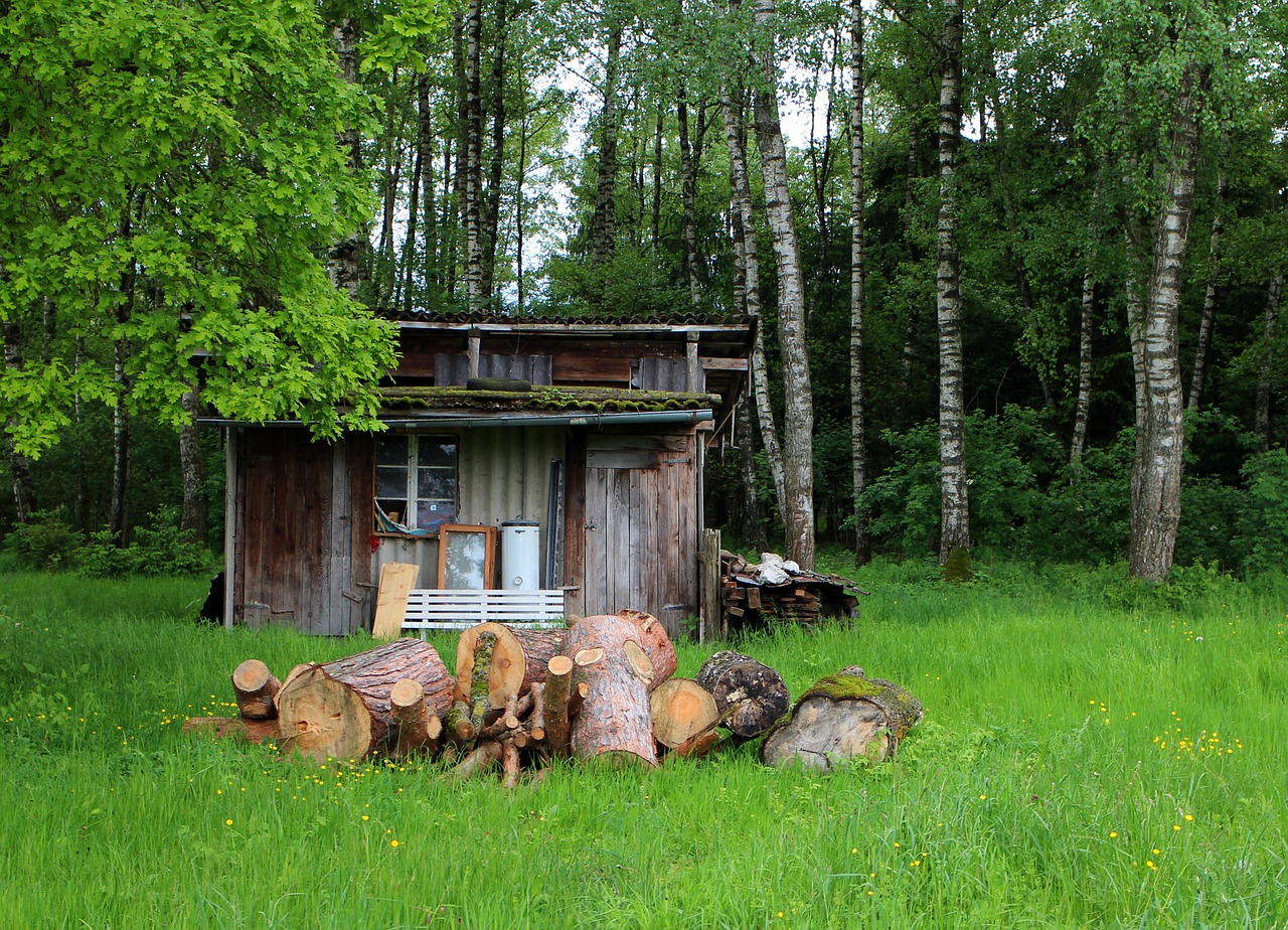 forest lodge hut log cabin free photo