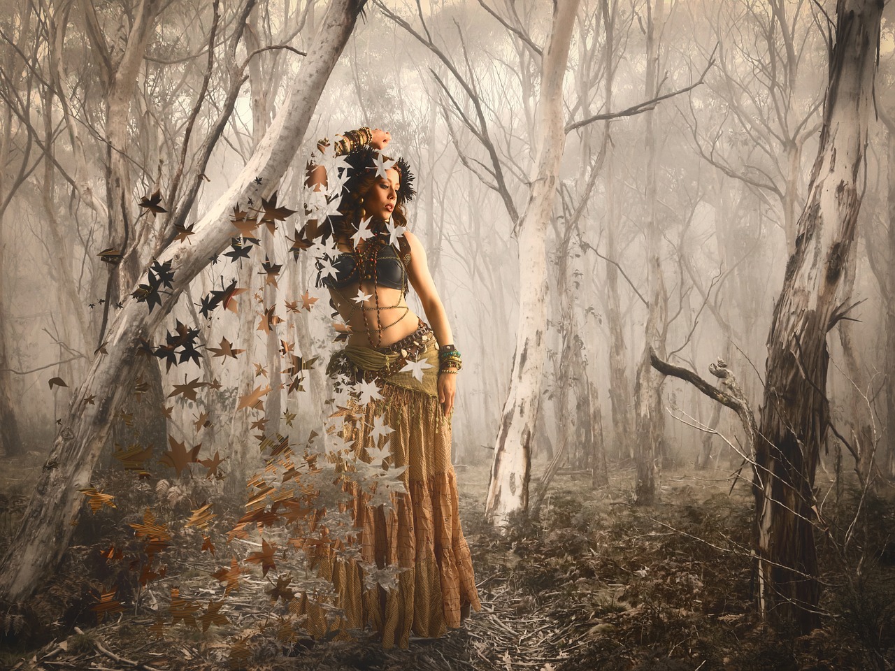 forest of dreams forest woman free photo