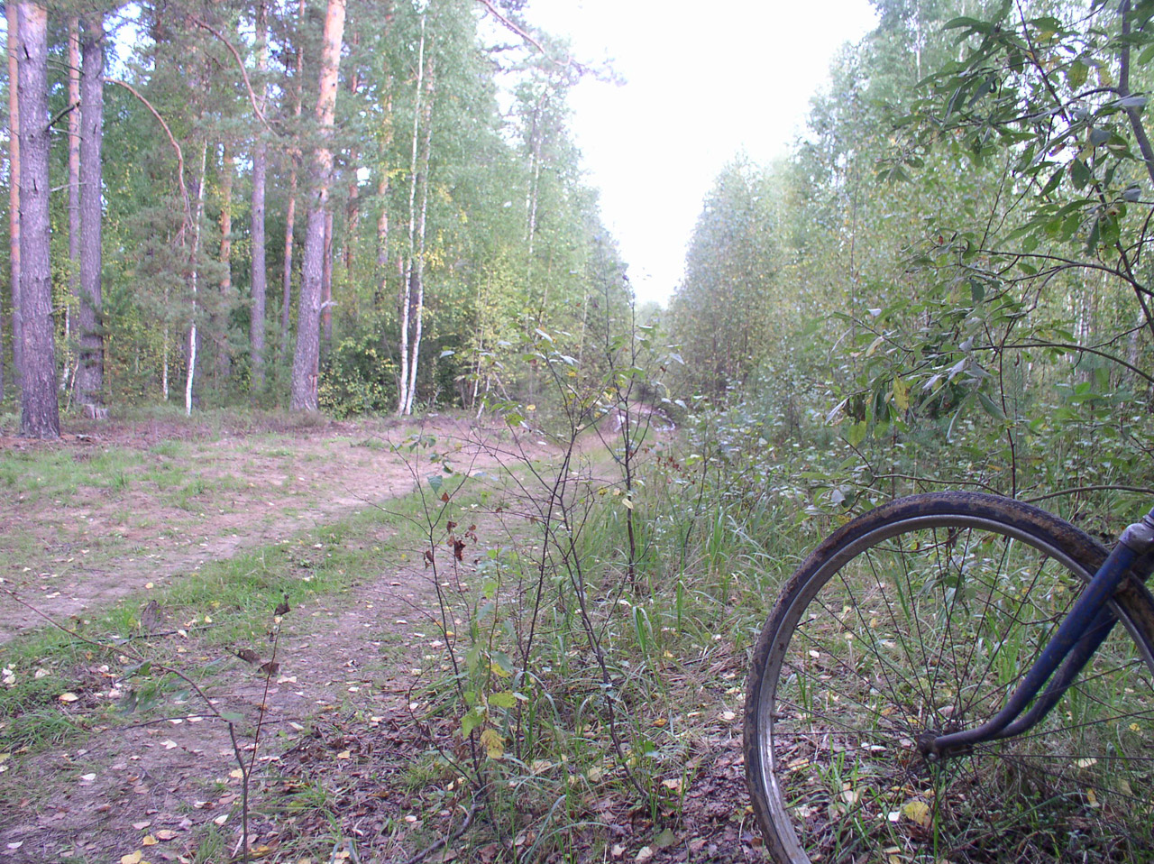 road bike wheel free photo