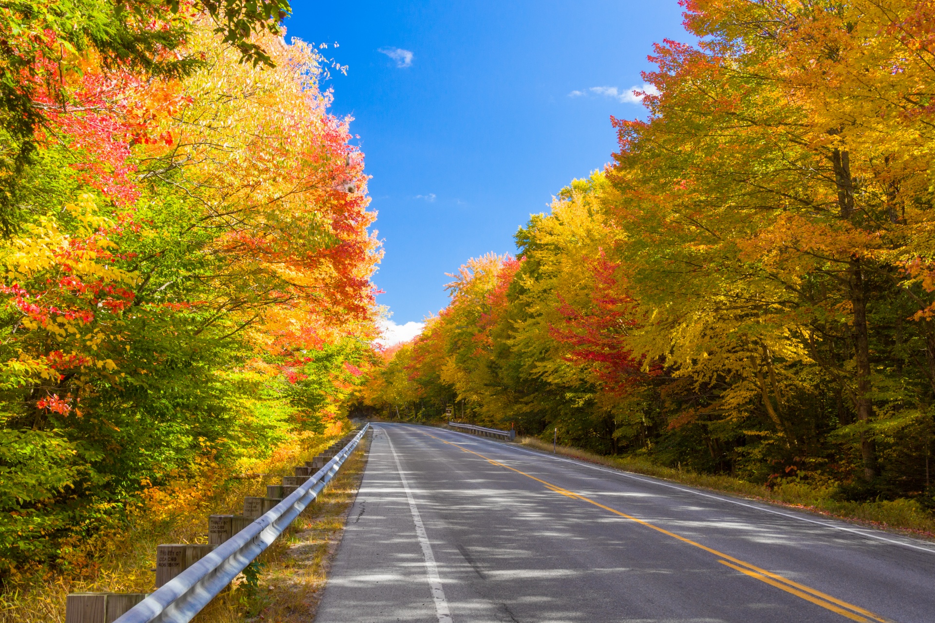 autumn colorful drive free photo