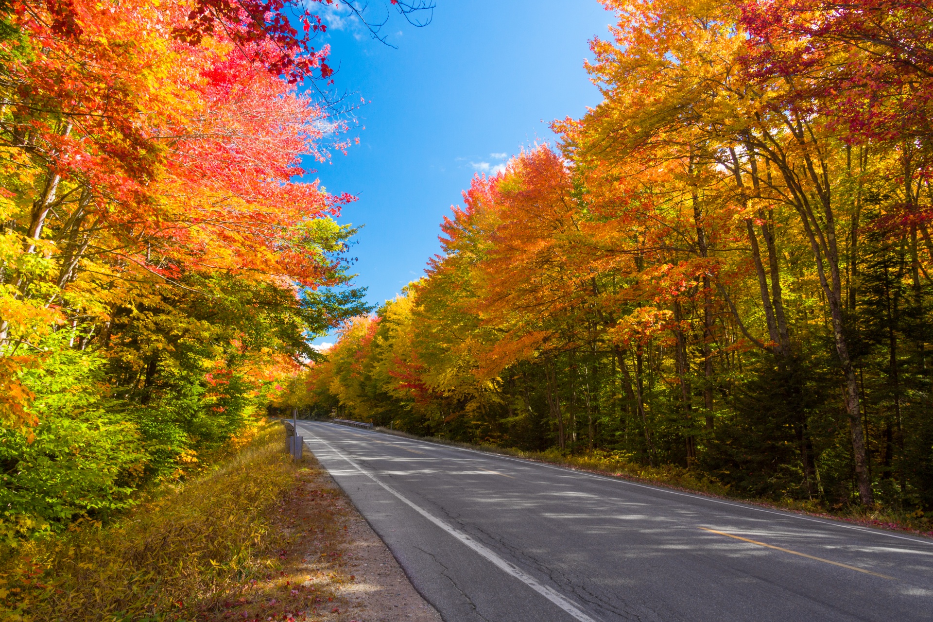 autumn colorful drive free photo