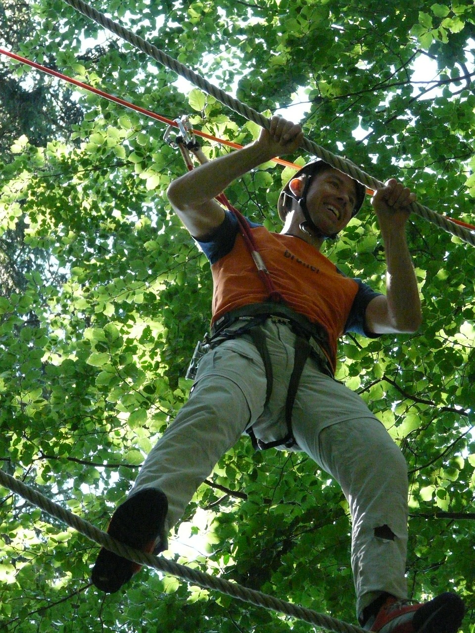 forest ropes high ropes course detention free photo