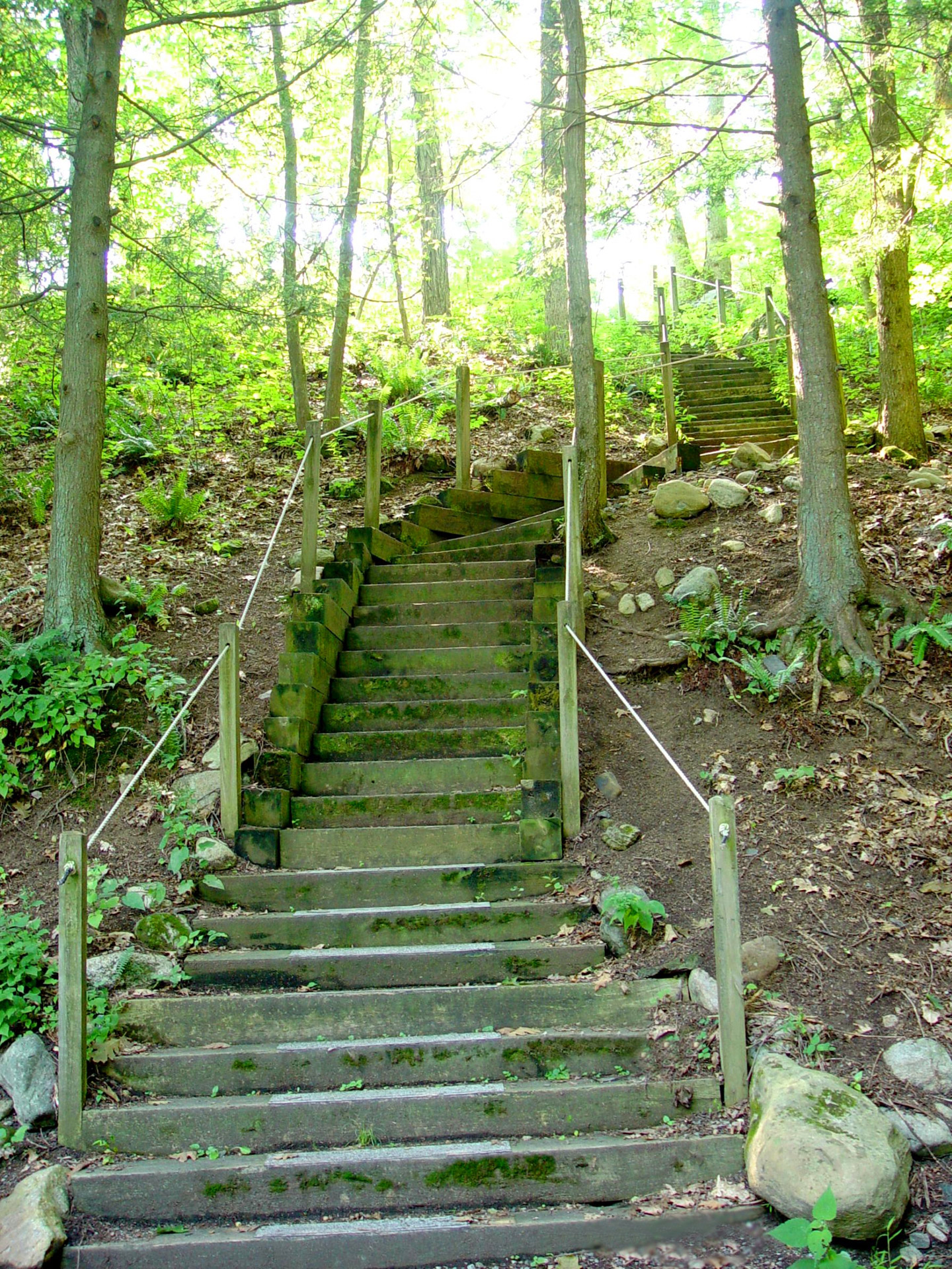 stairs steps wooden steps free photo