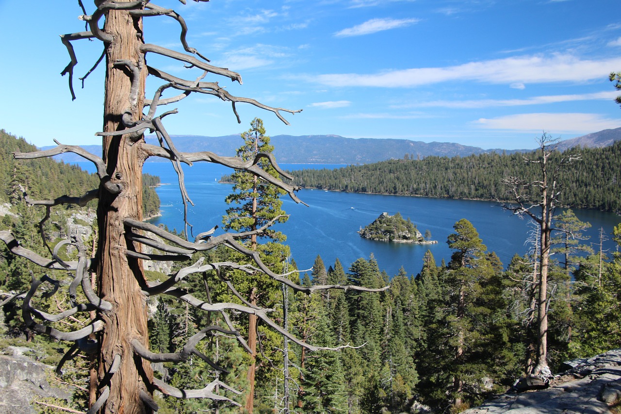 forest views lake tahoe emerald bay free photo