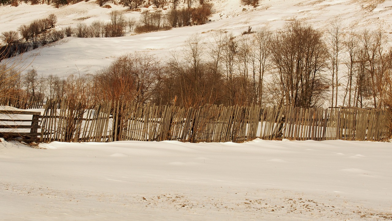 forest winter wooden fence country free photo