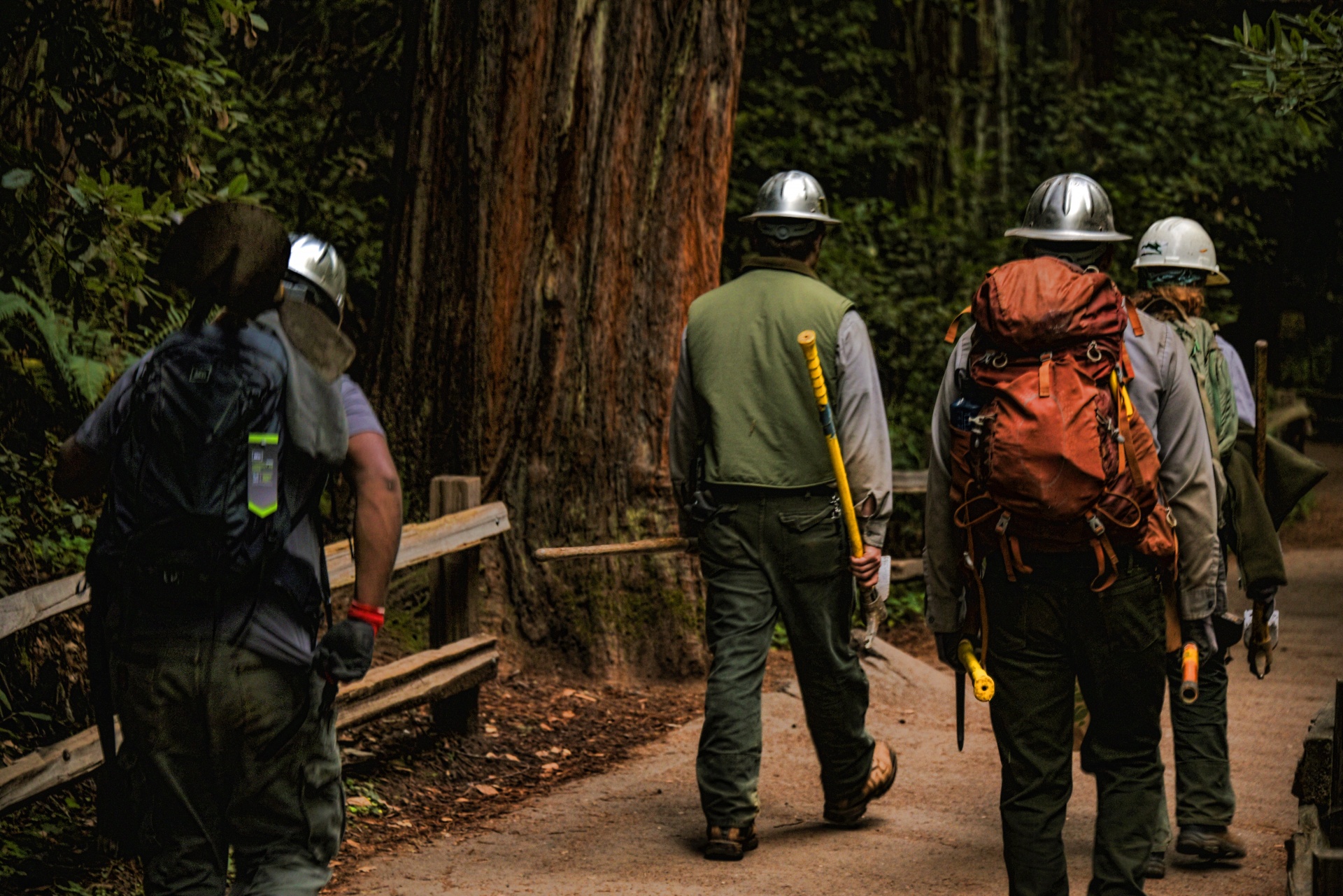 usfs forestry service workers free photo