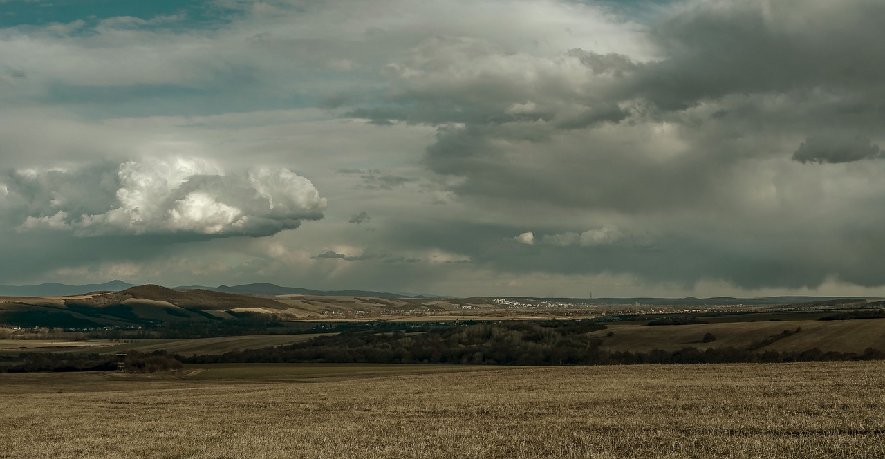 forests  meadows  fields free photo