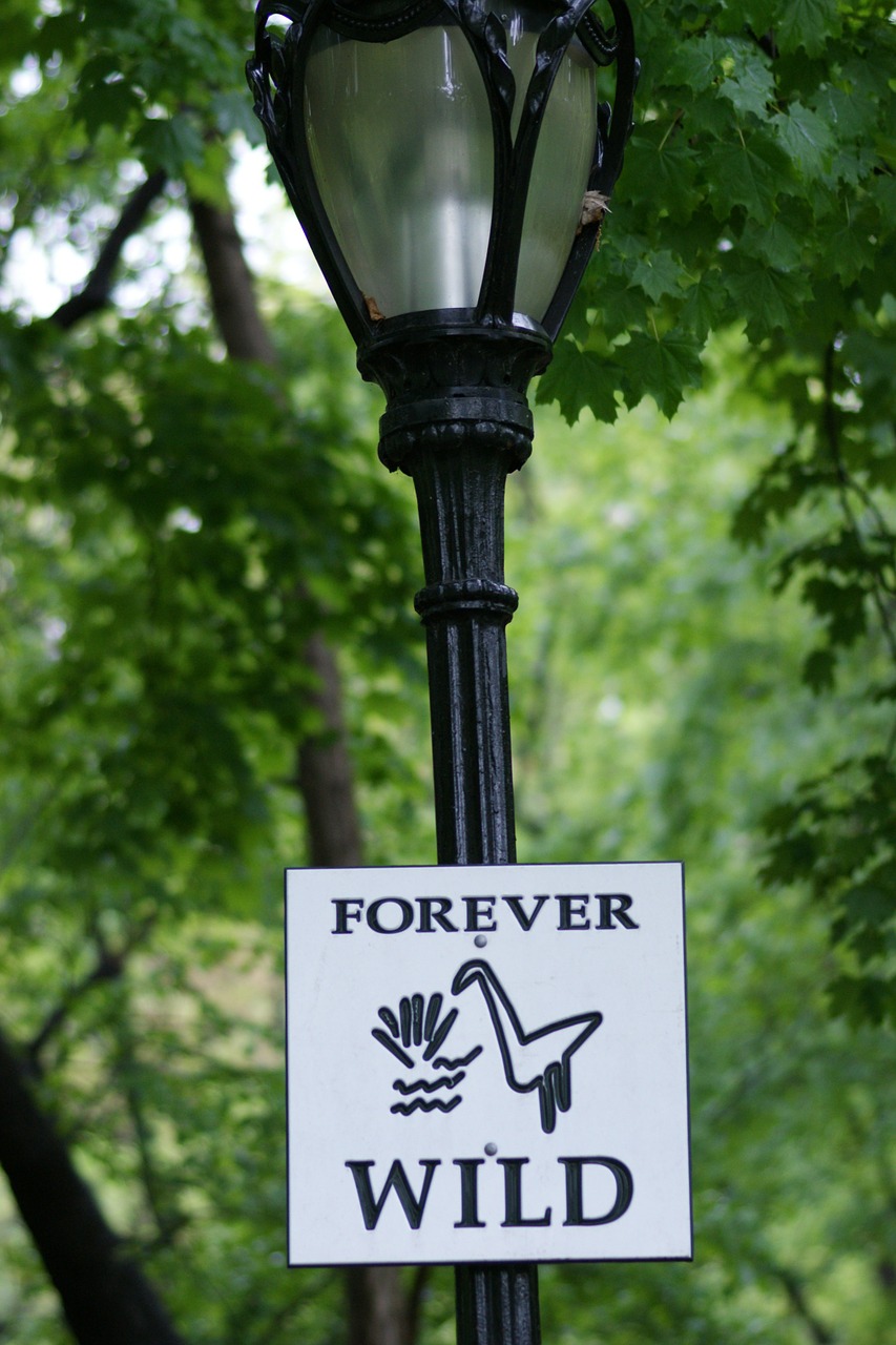 forever wild sign free photo