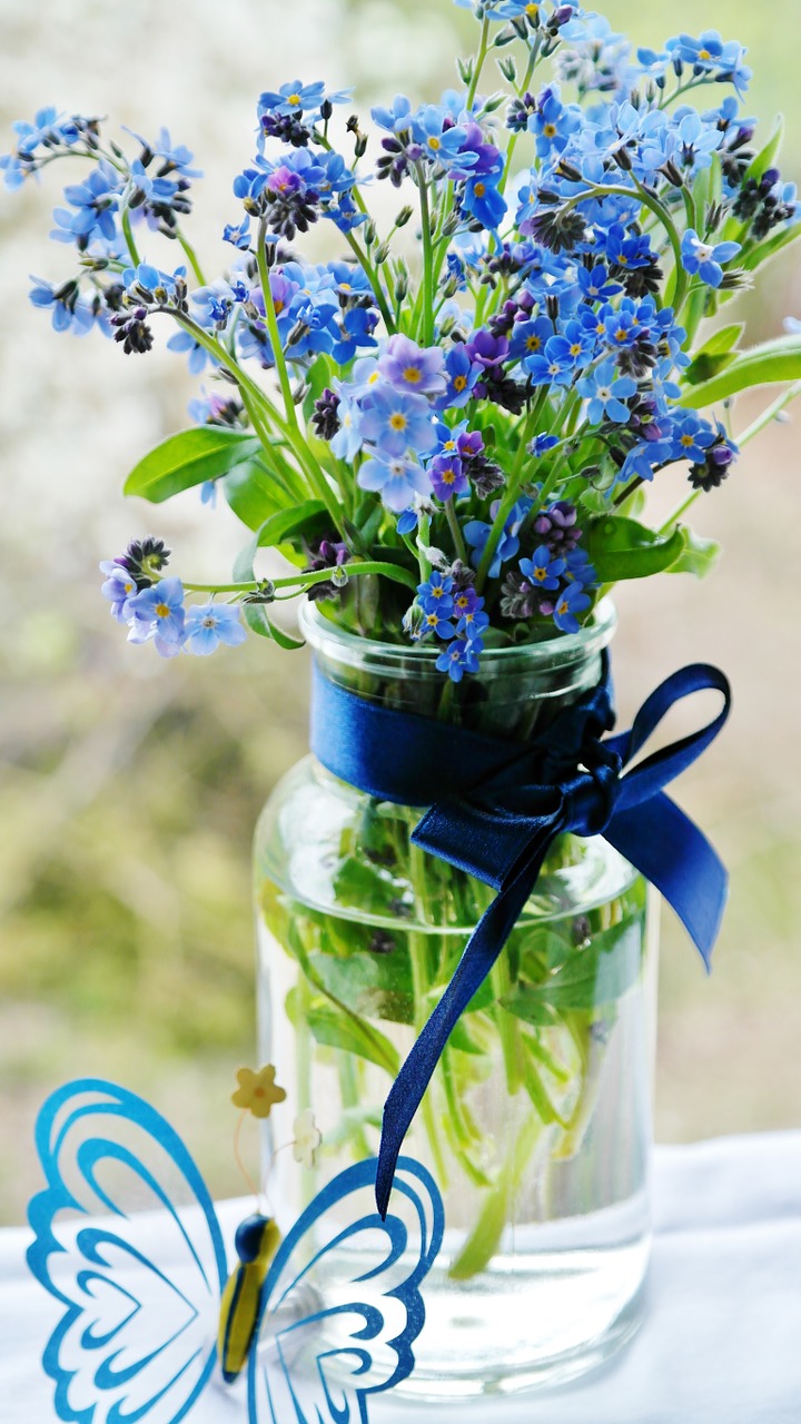 forget me not flower meadow free photo