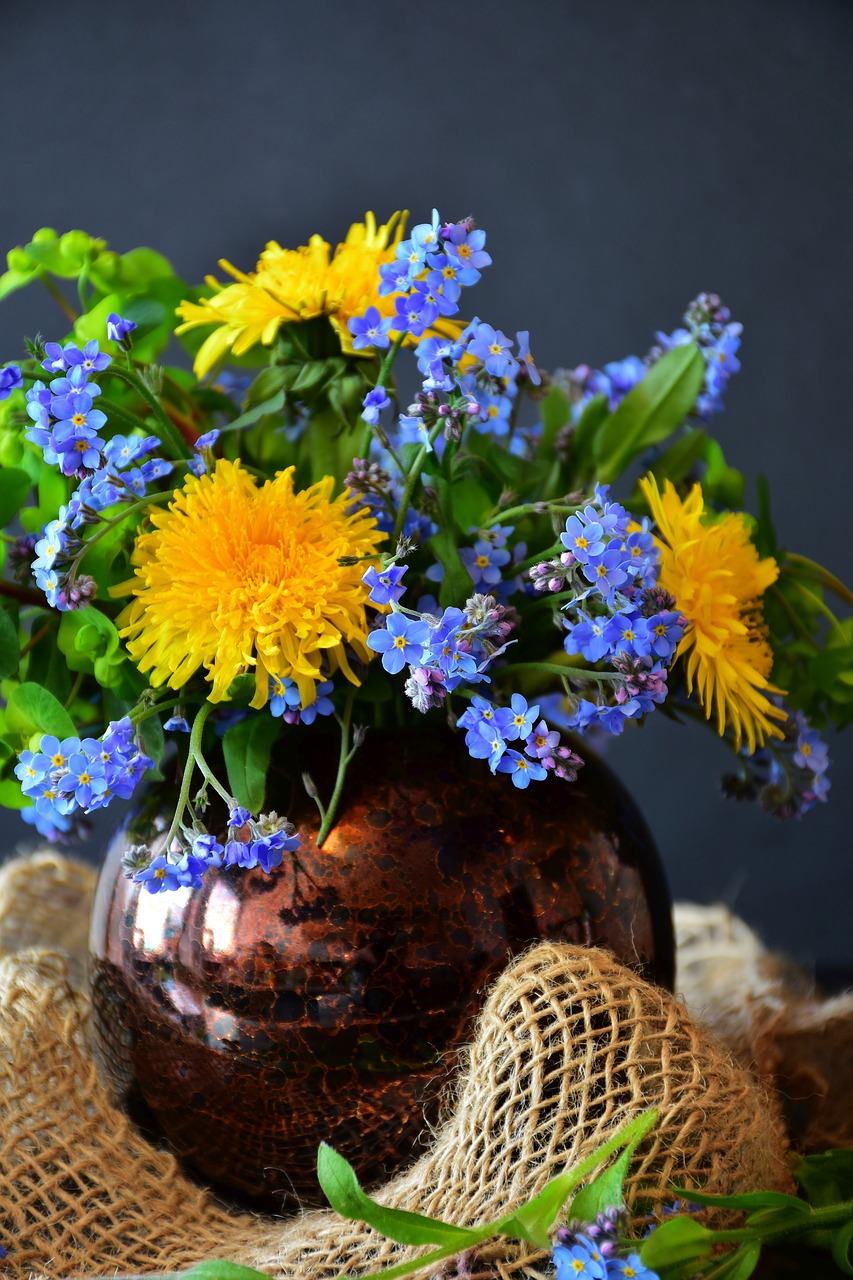 forget me not  dandelion  flower free photo