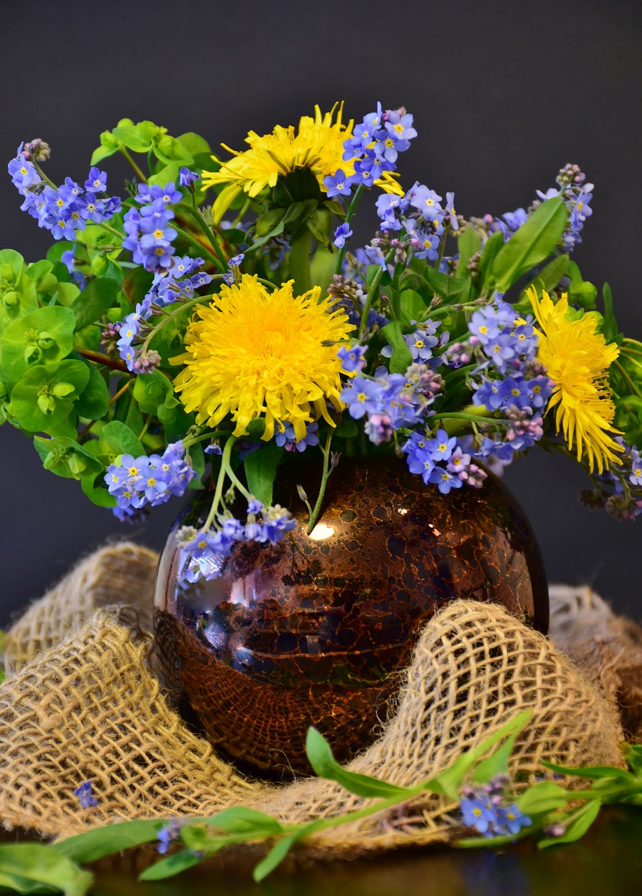 forget me not  dandelion  flower free photo