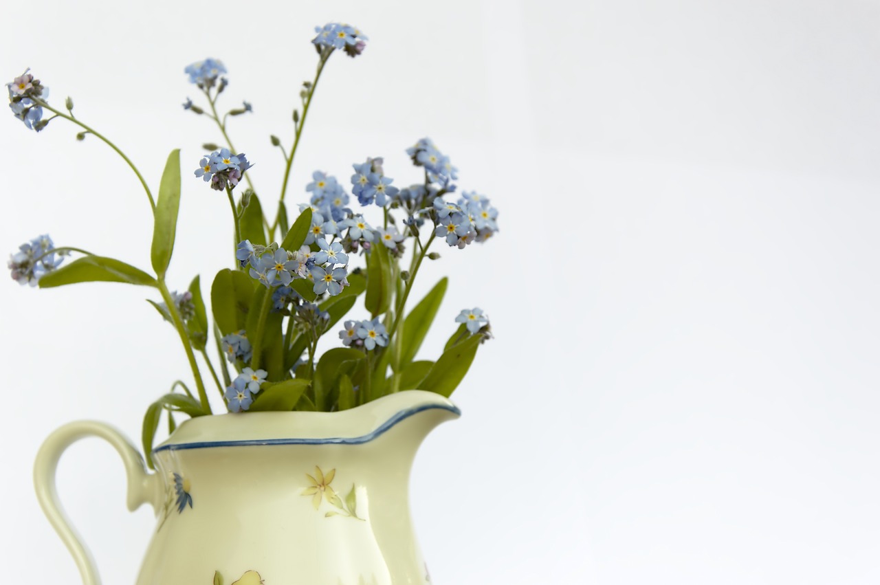 forget me not  flowers  bouquet free photo