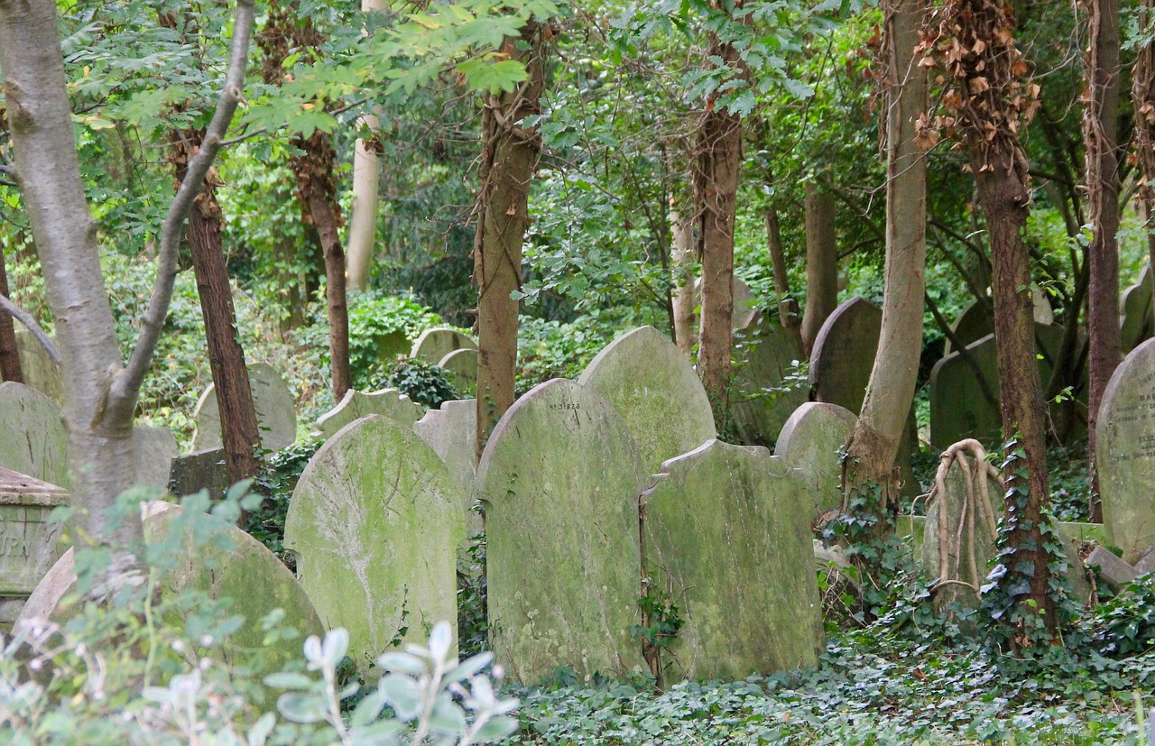 forgotten  cemetery  graveyard free photo