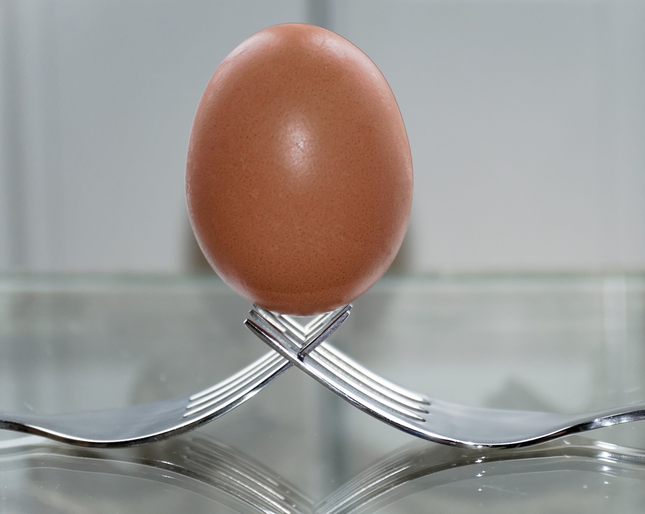 fork egg balance free photo