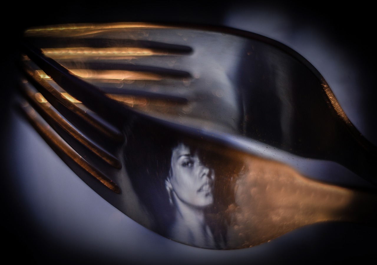 fork article 1 2 the art of free photo