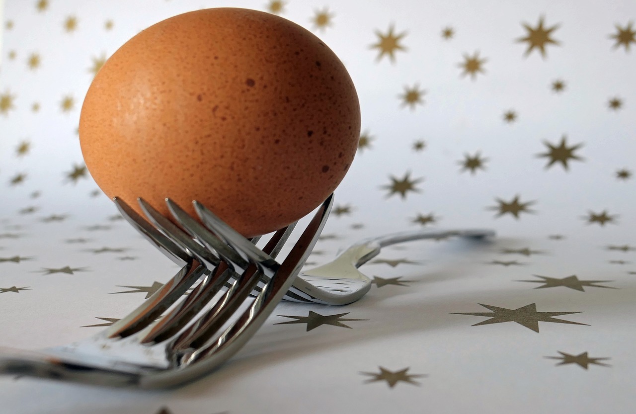 fork egg cutlery free photo