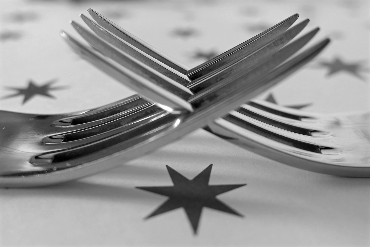 fork cutlery metal free photo