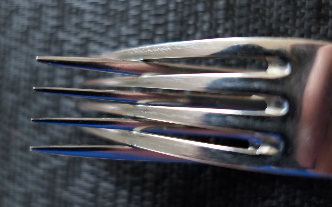 fork knife cutlery free photo